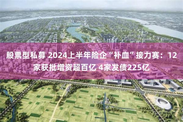 股票型私募 2024上半年险企“补血”接力赛：12家获批增资超百亿 4家发债225亿