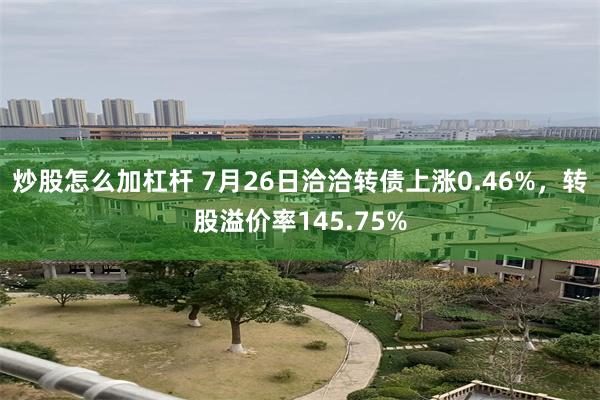 炒股怎么加杠杆 7月26日洽洽转债上涨0.46%，转股溢价率145.75%