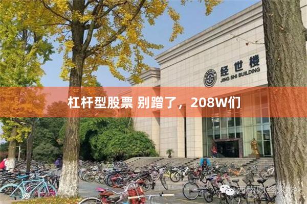 杠杆型股票 别蹭了，208W们