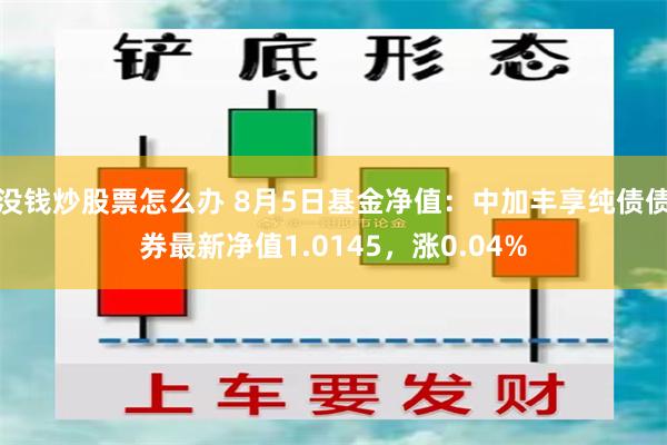 没钱炒股票怎么办 8月5日基金净值：中加丰享纯债债券最新净值1.0145，涨0.04%