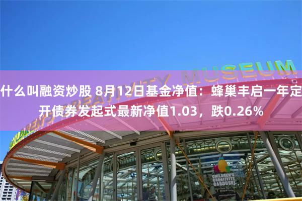 什么叫融资炒股 8月12日基金净值：蜂巢丰启一年定开债券发起式最新净值1.03，跌0.26%