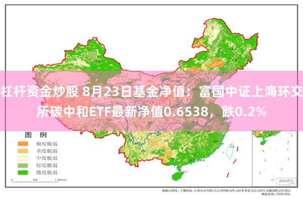 杠杆资金炒股 8月23日基金净值：富国中证上海环交所碳中和ETF最新净值0.6538，跌0.2%