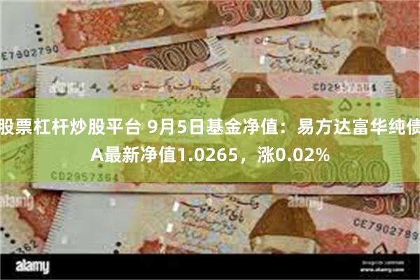 股票杠杆炒股平台 9月5日基金净值：易方达富华纯债A最新净值1.0265，涨0.02%