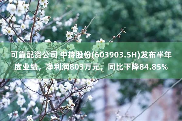 可靠配资公司 中持股份(603903.SH)发布半年度业绩，净利润803万元，同比下降84.85%