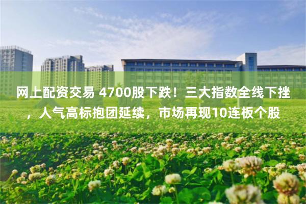 网上配资交易 4700股下跌！三大指数全线下挫，人气高标抱团延续，市场再现10连板个股