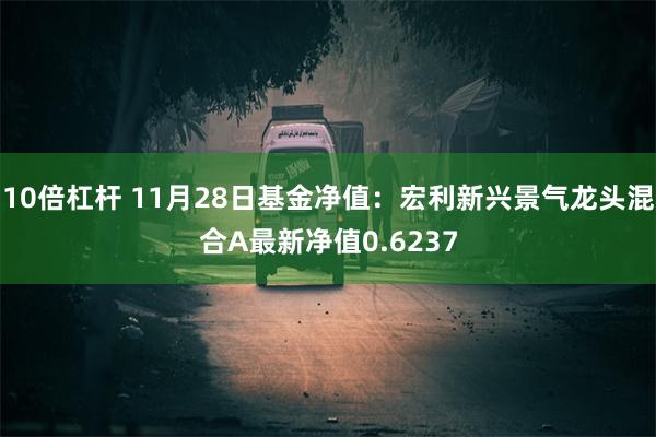 10倍杠杆 11月28日基金净值：宏利新兴景气龙头混合A最新净值0.6237