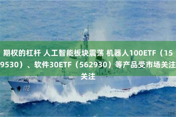 期权的杠杆 人工智能板块震荡 机器人100ETF（159530）、软件30ETF（562930）等产品受市场关注