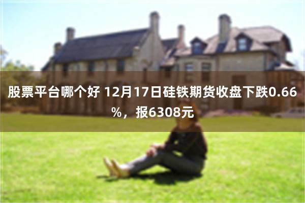 股票平台哪个好 12月17日硅铁期货收盘下跌0.66%，报6308元