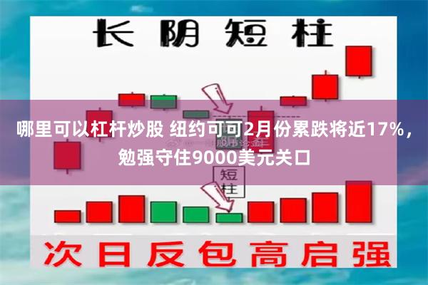 哪里可以杠杆炒股 纽约可可2月份累跌将近17%，勉强守住9000美元关口